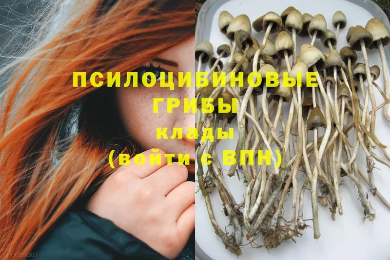 Галлюциногенные грибы MAGIC MUSHROOMS  Бор 